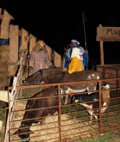 /album/live-nativity/a2014ln2-jpg/